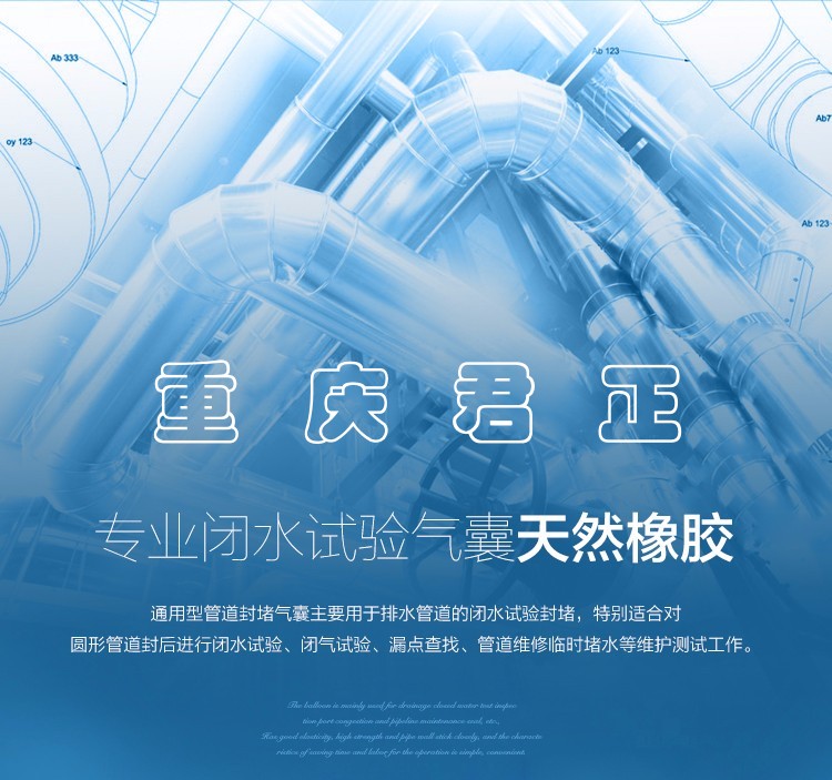水袋氣囊